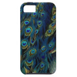 Vintage Peacock iPhone 5 Cover