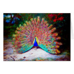 Vintage Peacock Painting Greeting Cards