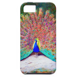 Vintage Peacock Painting iPhone 5 Case