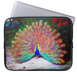 Vintage Peacock Painting Laptop Sleeve