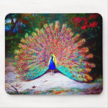 Vintage Peacock Painting Mousepads
