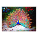 Vintage Peacock Painting Personalized Invitations