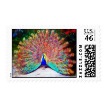 Vintage Peacock Painting Postage Stamp