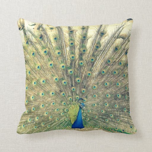 Vintage Peacock Pillows Zazzle