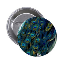 Vintage Peacock Pinback Button