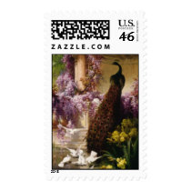 Vintage Peacock Postage Stamp