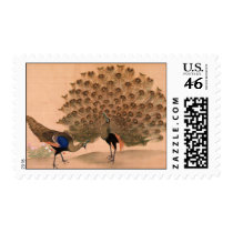 Vintage Peacock Stamps