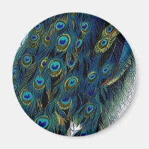 Vintage Peacock Refrigerator Magnets