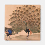 Vintage Peacock Refrigerator Magnets
