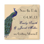 Vintage Peacock Save the Date Magnets zazzle_magnet