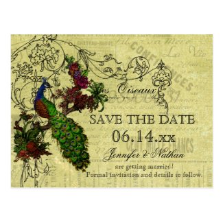 Vintage Peacock Save the Date Postcard