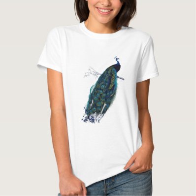 Vintage Peacock T-shirt