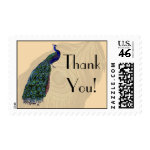 Vintage Peacock Thank You Postage zazzle_stamp