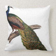 Vintage Peacock Throw Pillows