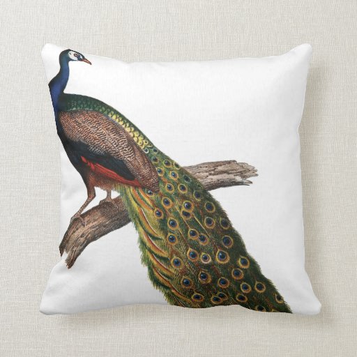 Vintage Peacock Throw Pillows Zazzle