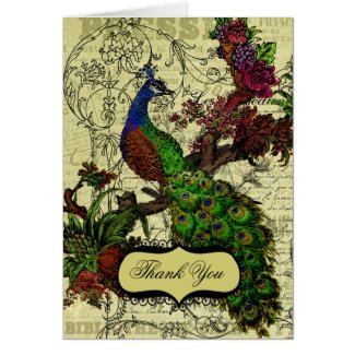 Vintage Peacock Wedding Thank You Note Cards
