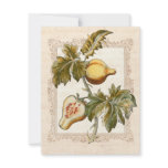 Vintage Pears Autumn Harvest Dinner Party Invites