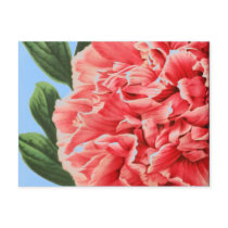 Vintage Peony/Vintage peony Postcard