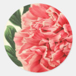 Vintage Peony/Vintage peony Sticker