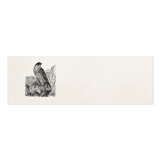 Vintage Peregrine Falcon Personalized Retro Birds Business Cards (front side)