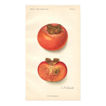 Vintage Persimmon Poster posters