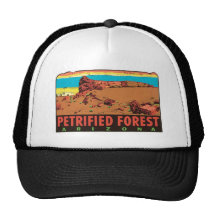 Vintage Petrified Forest Arizona AZ State Label Mesh Hats