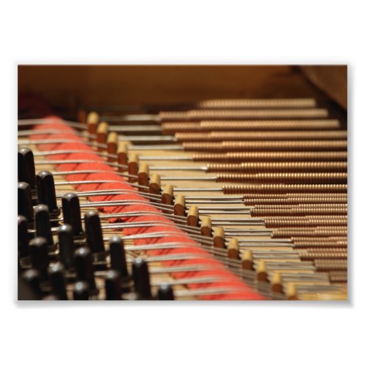 Vintage Piano Pinblock and Strings Print Photographic Print Zazzle
