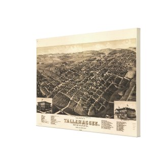 Vintage Pictorial Map of Tallahassee FL (1885) Gallery Wrapped Canvas