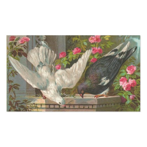 Vintage Pigeons Business Card (back side)