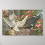 Vintage Pigeons posters