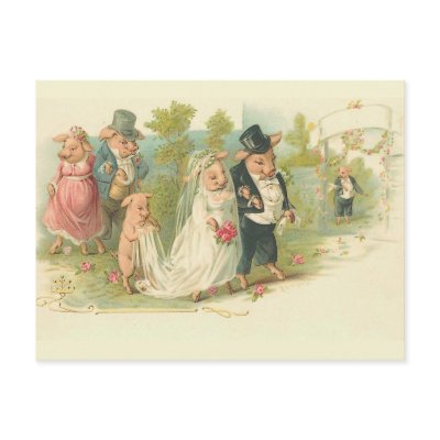 Vintage Pigs Wedding Postcard