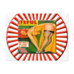 Vintage Pin Up Girl Postcard