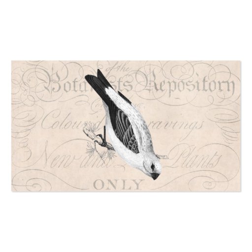 Vintage Pine Grossbeak Song Bird Illustration Business Cards