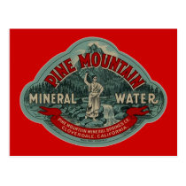 Vintage Pine Mountain Cali Mineral Water Postcards postcards
