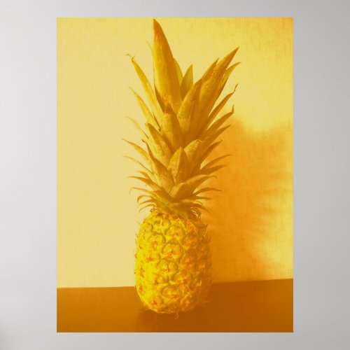 Vintage Pineapple print