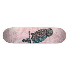 Vintage Pink Blue Cute Owl Skateboards