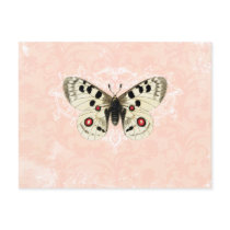 Vintage Pink Butterfly Damask Postcard