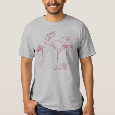 Vintage  Pink Flamingo Drawing Tee Shirt