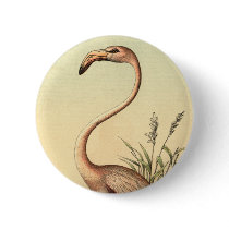 Vintage Pink Flamingo Illustration buttons by GreatSkyPress Vintage Pink Flamingo Illustration buttons
