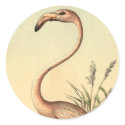 Vintage Pink Flamingo Illustration stickers