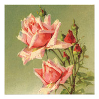 Vintage Pink Garden Roses for Valentine's Day Custom Invitation