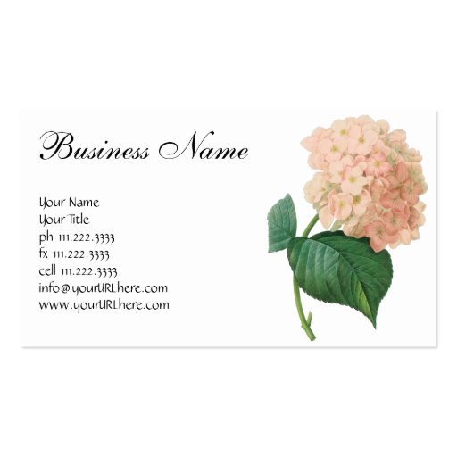 Vintage Pink Hydrangea Hortensia Flower by Redoute Business Cards (front side)