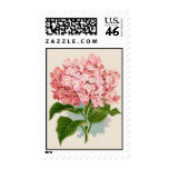 Vintage Pink Hydrangea Postage Stamps