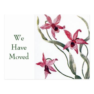 Vintage Pink Orchid Change of Address Postcard