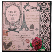 Gothic Vintage Pink Paris cloth napkins