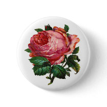 VINTAGE PINK ROSE