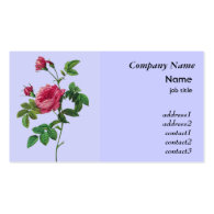 vintage pink rose flowers business card