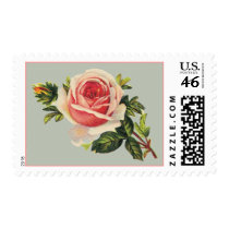 Vintage Pink Rose Postage Stamps by vintagegiftmall Vintage Pink Rose Postage Stamps