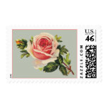 Vintage Pink Rose Postage Stamps