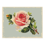vintage gift mall, vintage, gift, mall,